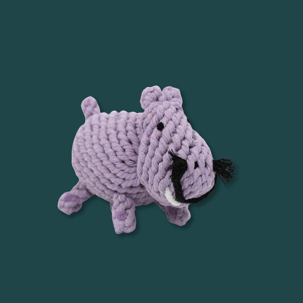 Pippa the Hippo Rope Toy