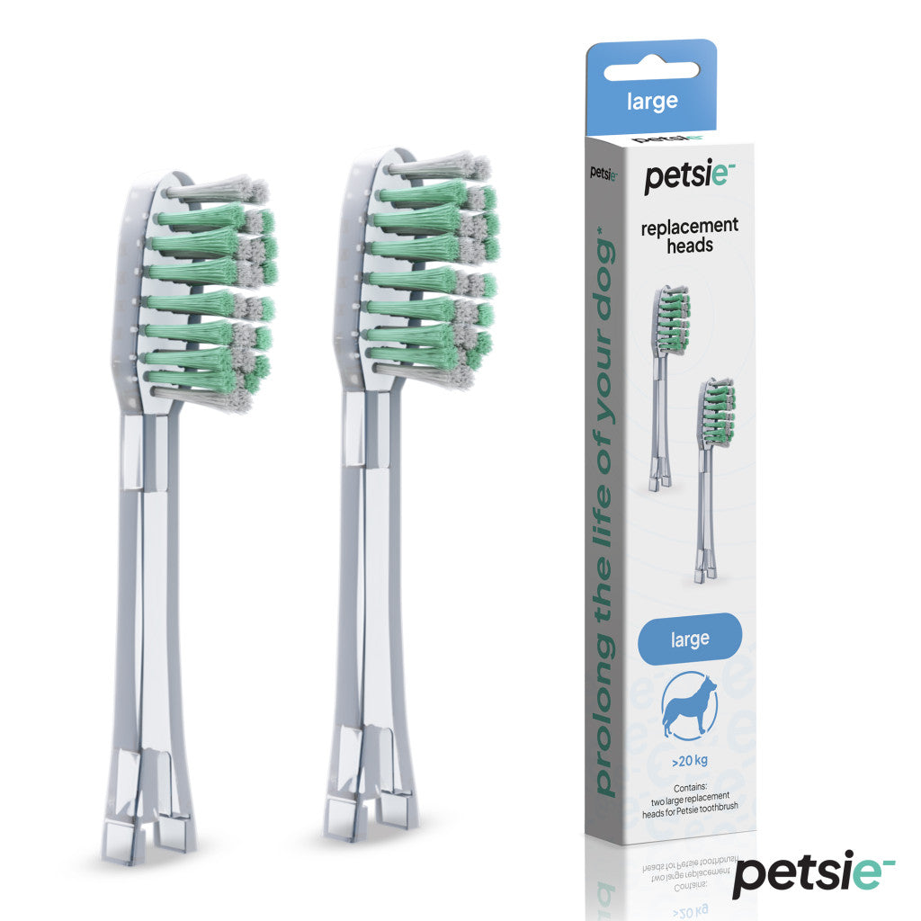 2 replacement heads for Petsie dog toothbrush (size L  20+kg)