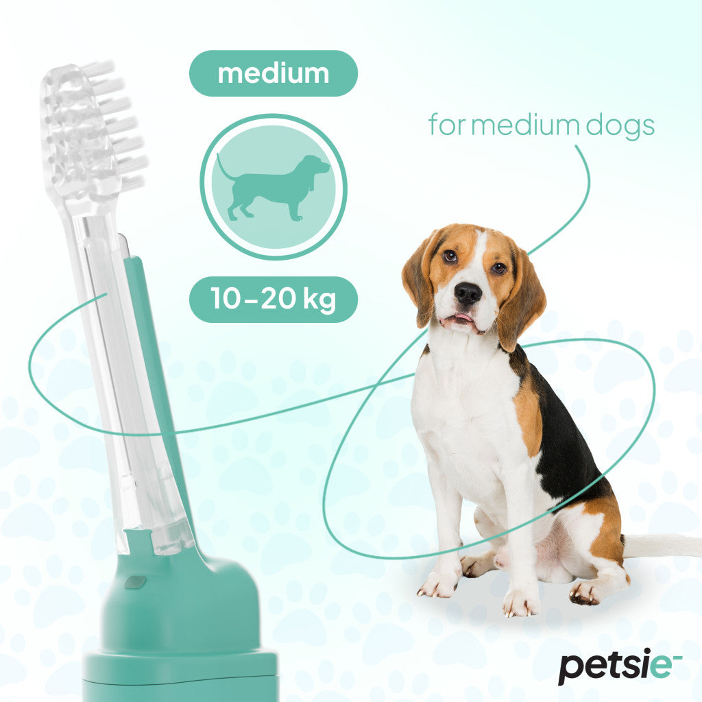 2 replacement heads for Petsie dog toothbrush (size M 10-20kg)