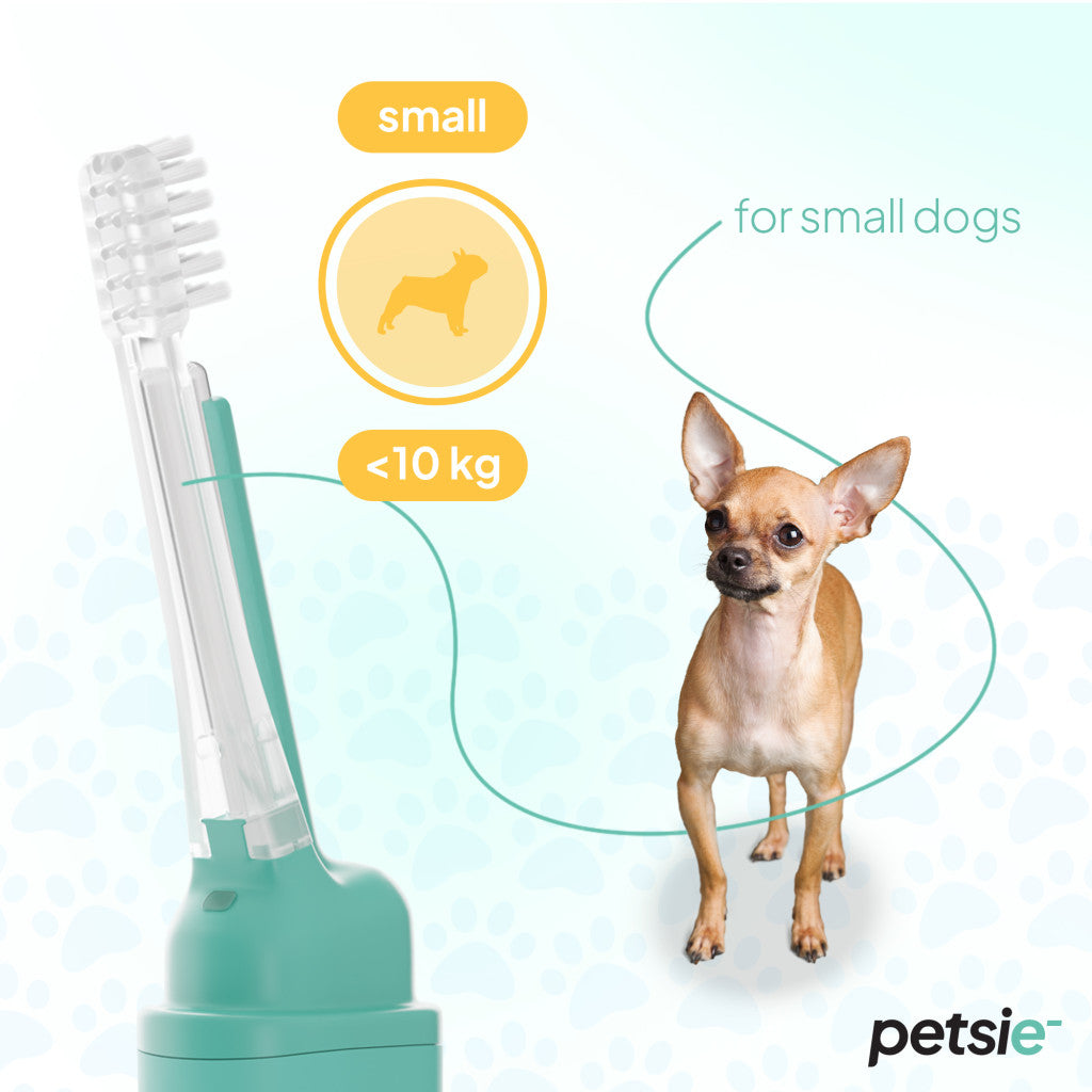 2 replacement heads for Petsie dog toothbrush (size S -10kg)